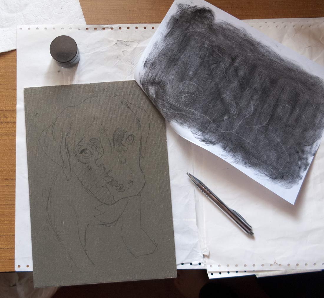 Original White Charcoal Lion Drawing+Progress Photos — Steemit